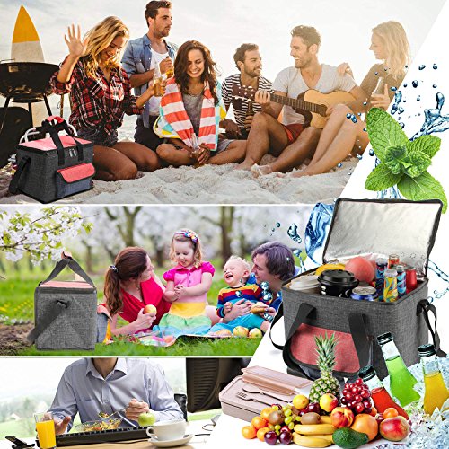 Bolsa termica 20litro, grande Bolsa nevera para picnic almuerzo camping playa barbacoa, Gray & Rojo (Gray & Rojo--20L)