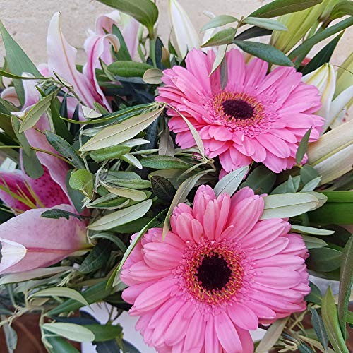 Botanic Dessign-Ramo de flores natural variada ENTREGA EN 24 HORAS DE LUNES A VIERNES con cuatro tallos de liliums y gerberas en color rosa intenso relleno con olivo y eucalipto naturales