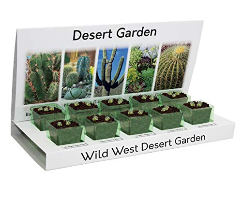 Cactus & Succulents Eco Grow Your Own Kit 100% Reciclable 5 Variedades para crecer a partir de semillas hechas con materiales 100% reciclables