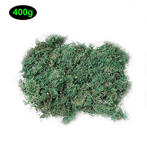 CAILI Musgo Artificial, Artificial Lichen,Planta Simulada de Musgo Verde,Ideal para Decorar Plantas, Flores o Guirnaldas,Decoración del Patio del Jardín de Casa (400g)