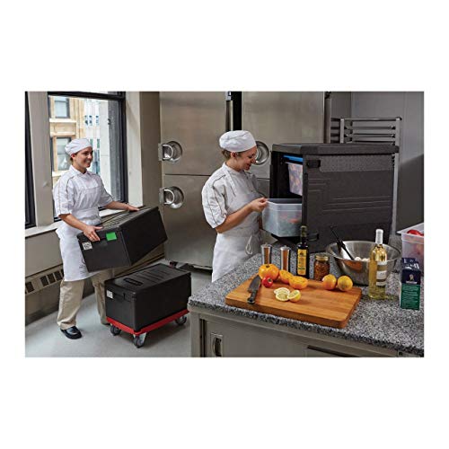 CAMBRO Caja Térmica Para Alimentos Entrega A Domicilio EPP180110 (Espuma EPP, Para contenedor GN 1/1 de 20 cm de profundidad, Asas integradas)