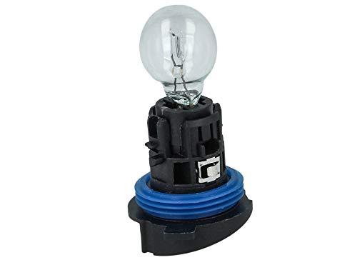 Carall - Bombilla halógena HP24W, 12 V, 24 W, transparente, P24W, incluida base de casquillo, luces diurnas, ref. LA1728