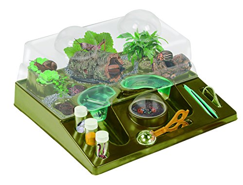 Cefa Toys Insecticefa, habitat de insectos