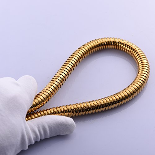 CIENCIA 1.5m (59-Inch) Manguera de Ducha de Oro Flexible Anti-torcedura de Acero Inoxidable con Conector de latón sólido FHA018J