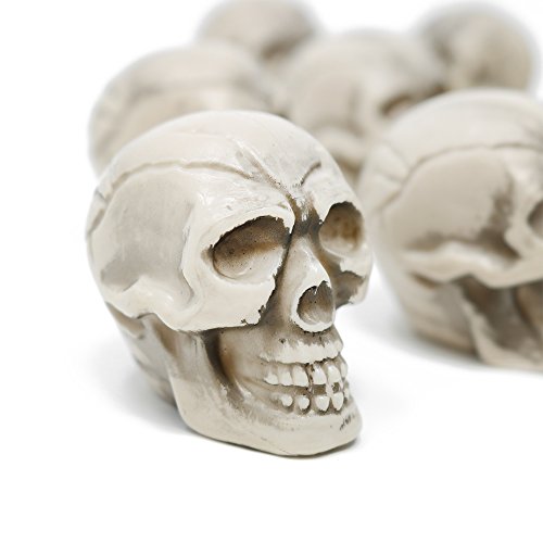 com-four® 12x Calavera como decoración de Halloween - Calavera de los Muertos - Mini Calavera Espeluznante para Fiestas temáticas y de Terror (12 Piezas - Mini Calavera)