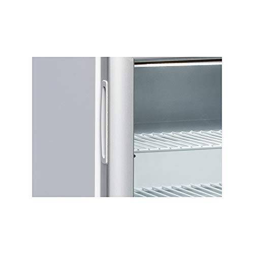 Cool Head - Mini armario refrigerado negativo (116 L)