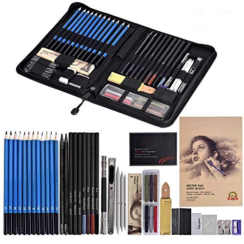 Cozywind 49pcs Lapices Dibujo Artístico Bosquejo Material Set,Incluye Lápices Pastel,Grafito,Carboncillos,Bloc,Caja Portátil