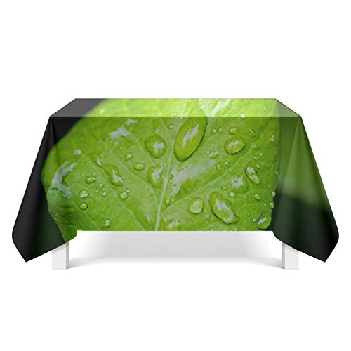 Daesar Manteles Rectangular Poliester Mantel de Mesa Rectangular Hoja con Gota de Agua Verde Estilo 7 Manteles para Mesa 140x180CM