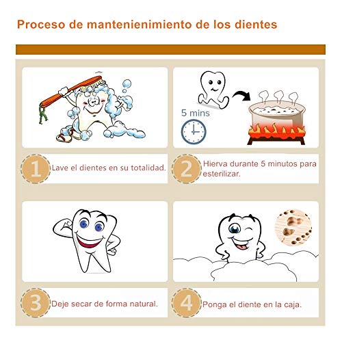 DEAROPE Caja de Dientes, Caja para Dientes en Español de Leche, Caja de Madera para Guardar Dientes (Niña)