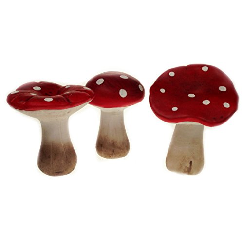 Décor fée de jardin Mushrooms