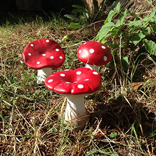 Décor fée de jardin Mushrooms