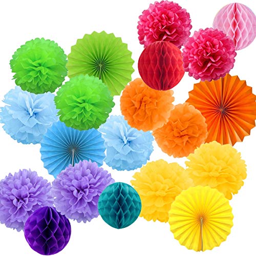 Decoracion Cumpleaños Multicolor 20 Pompones de Papel de Seda, Flores Pompom, Abanicos, Bolas de Nido de Abeja Guirnaldas. Decoración para Fiesta Carnaval -20 Piezas-