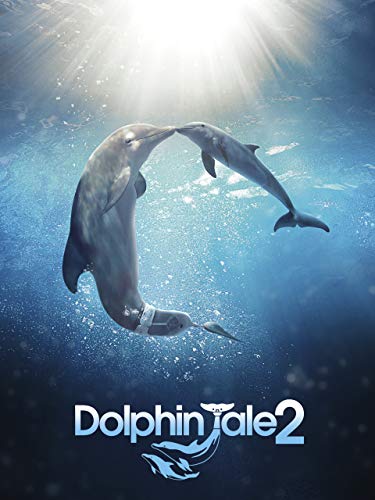 Dolphin Tale 2