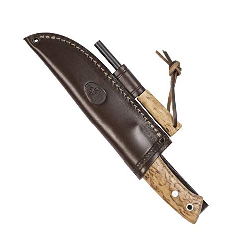 Electropolis Cuchillo de Caza Muela Viking, cachas de Abedul Rizado, Hoja de 11 cm con 4 mm de Espesor, 201 Gramos, con Funda marrón, Viking.M-11B.M + Tarjeta Multiusos de Regalo