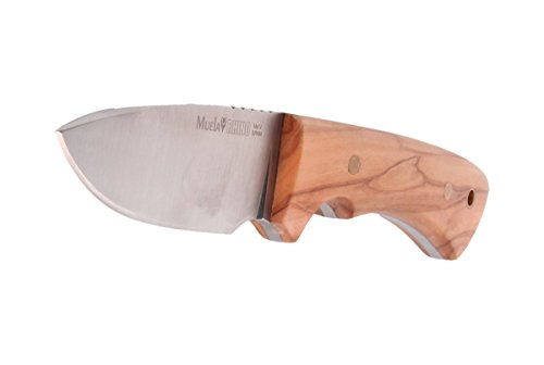 Electropolis Cuchillo Enterizo de Caza Muela Rhino Rhino-9.OL, cachas de Madera de Olivo, tamaño Total 20 cm, con Funda de Cuero + Tarjeta Multiusos de Regalo