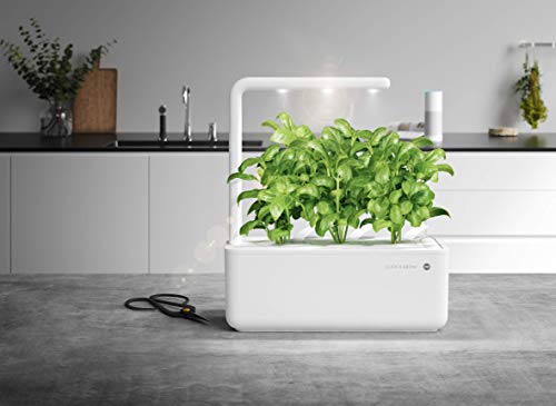 Emsa Click & Grow Smart Garden 3 unidades M52617, Semillas Smart Garden, huerto urbano, tierra inteligente, jardín hidropónico, resultados 40 días, Sistema automático iluminación LED, bajo consumo