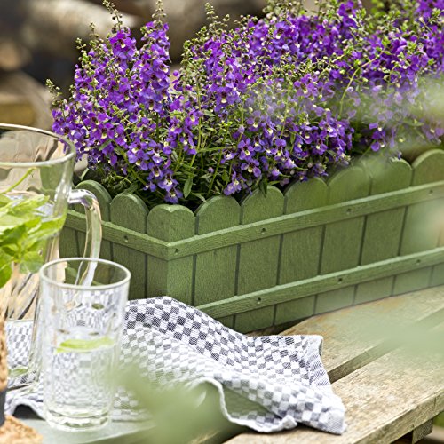 Emsa Country Window Box - Jardinera resistente a los rayos UV, resistente a heladas, Verde, 50 x 17 x 15 cm