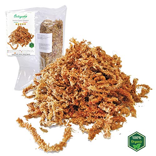 Esfagno Chileno Premium en Fibra 150 gr., Sustrato Natural de Esfagno Musgo para Orquídeas y Bonsai, Sphagnum Moss