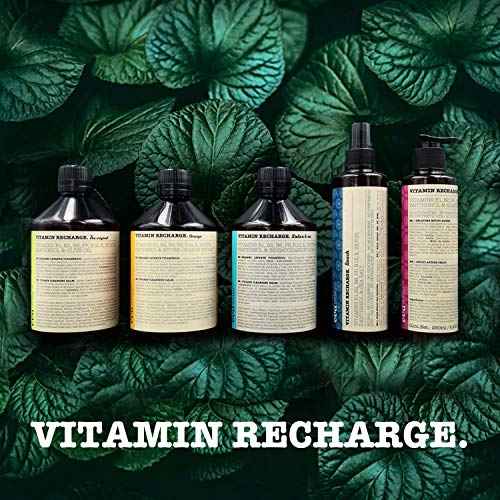 Eva Professional Hair Care Gelatina Multi Acción Vitamin Recharge Oh Là Là 250 ml