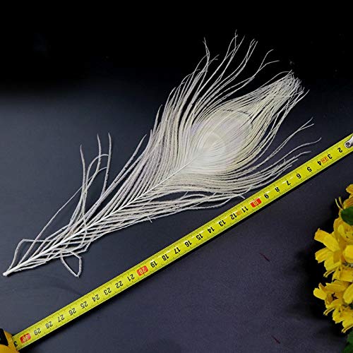 Farfly 50 Piezas/Plumas de Pavo Real Blanco Natural en el Ojo, 10 una 12 Pulgadas de la DecoracióN de la Boda de Plumas de Pavo Real