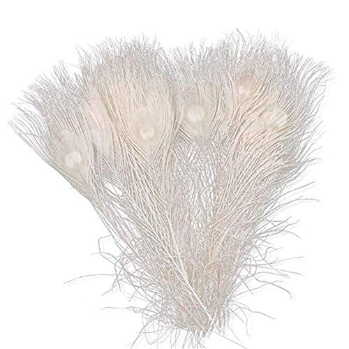 Farfly 50 Piezas/Plumas de Pavo Real Blanco Natural en el Ojo, 10 una 12 Pulgadas de la DecoracióN de la Boda de Plumas de Pavo Real