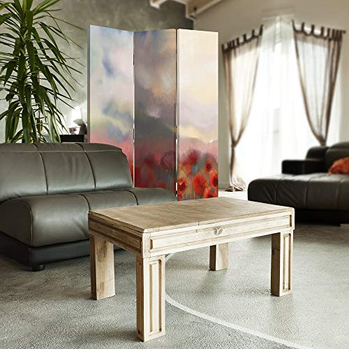 Feeby Frames Biombo Impreso sobre Lona, tabique Decorativo para Habitaciones, a una Cara, de 3 Piezas (110x150 cm), Flores, Amapola, Pradera, Naturaleza, Rojo, Resumen-ABSTRACCIÓN