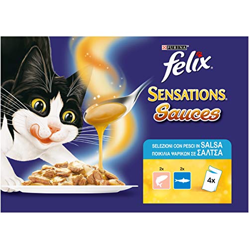 Felix Sensations Sauces Comida para el Gato, con salmón en Salsa al Gusto gamberetti y con sardinas en Salsa con Zanahoria, 4 x 100 g – Paquete de 10 Unidades