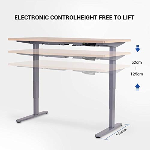 FLEXISPOT E5S Marco de Escritorio de pie con Altura Ajustable eléctrica, Escritorio de pie de Acero sólido con tecla de Memoria automática Inteligente (Gris)