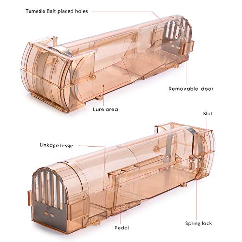 FORMIZON 2Pcs Trampa para Ratas, Reutilizable, Transpirable y Transparente Humanitario y Grande Ratas Ratonera de Plástico Reutilizable para Ratas del Hogar, Ático, Garaje, Cocina, Jardín (Marrón)