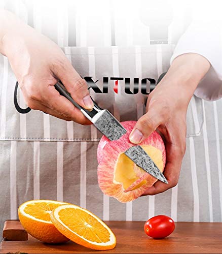 Fruta pelada de acero inoxidable carne cortada cuchillo de cocina chef de láser patrón de Damasco en rodajas Utilidad santoku conjunto de herramientas de cocina (Color : 2PCS A)