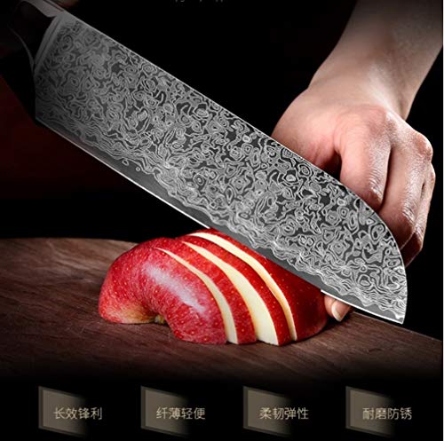 Fruta pelada de acero inoxidable carne cortada cuchillo de cocina chef de láser patrón de Damasco en rodajas Utilidad santoku conjunto de herramientas de cocina (Color : 2PCS A)