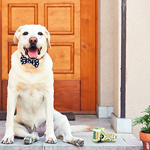 GALGOF Bolsas de Basura higiénicas y biodegradables para Perro + Dispensador. 10 Rollos perfumados, compostables y ecológicos para residuos y excrementos de Mascotas (180 uds)