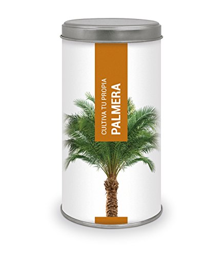 Garden Pocket - Kit Cultiva tu Propia Palmera