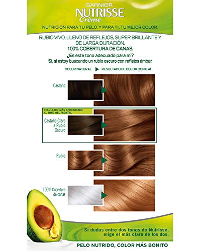 Garnier Nutrisse Creme Coloración Nutritiva Permanente, Tinte 100% Cobertura de Canas con Mascarilla Nutritiva de 4 Aceites - Tono 6.41 Marrón Intenso