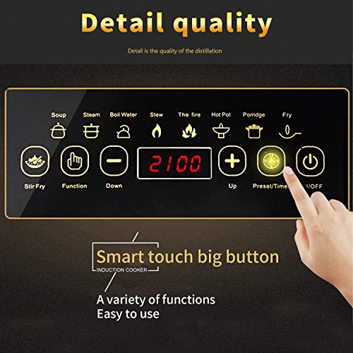 GT pro Placa de Inducción Portátil, Cocina Eléctrica de Inducción Superficie de Plato a Prueba de Agua con Pantalla LED, Botón de Control Táctil, 2100 W para Olla Caliente/Freír/Cocina