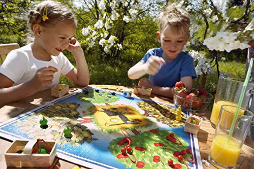 HABA Frutal, ESP (3403), emocionante Dados, con 40 Frutas de Madera y Reglas fáciles de Entender, Popular Juego de Mesa a Partir de 3 años (HA3403)