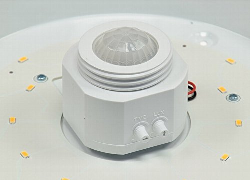 hava - Lámpara de techo con sensor de movimiento PIR, 12 W, 360 °, 800 lm, 290 X 60 Mm, Blanco Cálido (3000 K)