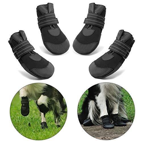 Hcpet Protectores de Pata de Perro, Zapatos Perro para Pequeña y Grandes Perros – Negro (6#)