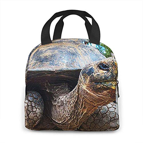 Hdadwy Bolsa de almuerzo con aislamiento para mujeres, hombres, tortuga de las islas Galápagos, bolsa de almuerzo reutilizable, organizador de caja de almuerzo, bolsa refrigeradora con bolsillo fronta