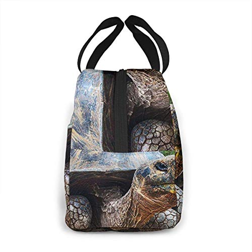 Hdadwy Bolsa de almuerzo con aislamiento para mujeres, hombres, tortuga de las islas Galápagos, bolsa de almuerzo reutilizable, organizador de caja de almuerzo, bolsa refrigeradora con bolsillo fronta