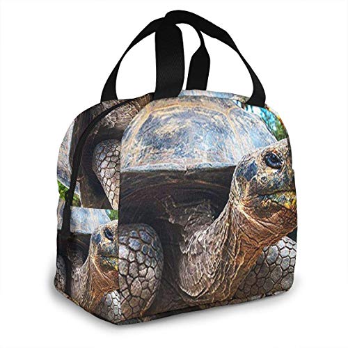 Hdadwy Bolsa de almuerzo con aislamiento para mujeres, hombres, tortuga de las islas Galápagos, bolsa de almuerzo reutilizable, organizador de caja de almuerzo, bolsa refrigeradora con bolsillo fronta