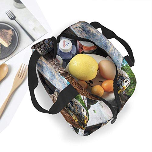 Hdadwy Bolsa de almuerzo con aislamiento para mujeres, hombres, tortuga de las islas Galápagos, bolsa de almuerzo reutilizable, organizador de caja de almuerzo, bolsa refrigeradora con bolsillo fronta