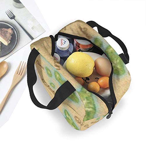 Hdadwy Bolsa de almuerzo reutilizable Fiambrera aislada Tela de lona con papel de aluminio, Mapa de las islas hawaianas Bolso de mano para el almuerzo Fordable