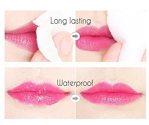 Hengfang Decoloración Bálsamos labiales Brillante Permanente Barra de labios Larga duracion Impermeable Mate Brillo de labios Fijas Hidratante Rosa Gelatina Flores secas Lapiz labial Impermeable (C)