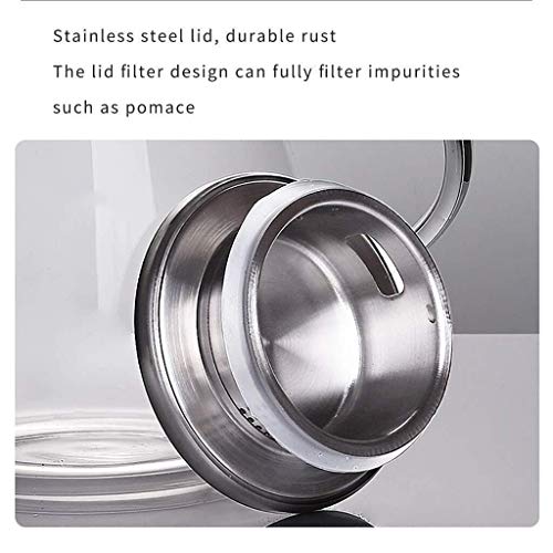 Hervidor de vidrio de 1.6l de gran capacidad con tapa y filtro de acero inoxidable - Hervidor de vidrio de borosilicato liviano y resistente al calor para agua fría/caliente, té o como regalo perf