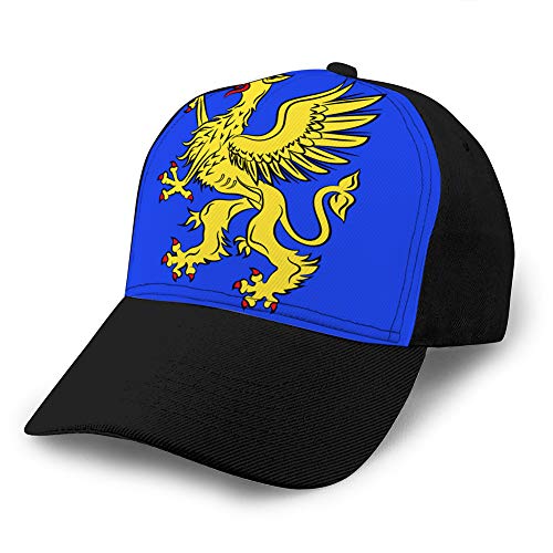 Holefg3b Unisex Sombrero Plano Ajustable Gorras de béisbol Bandera de Saint brieuc en cotes darmor of Brittany Snapback Cap