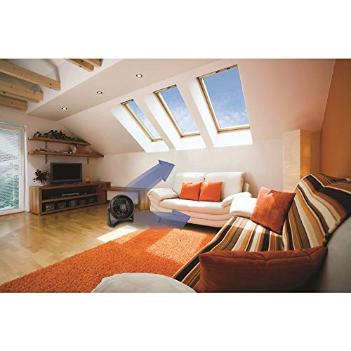 Honeywell HT900E4 - Ventilador Turbo potente para Mesa y Suelo, regulable en 3 Velocidades, tama?o Compacto, color Negro