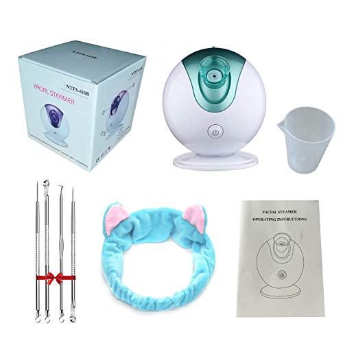 Hong Ren Nano Facial Steamers Sauna Home SPA Niebla cálida Hidratantes poros Limpiar las espinillas claras Acné Aromaterapia Cuidado de la piel Humidificador