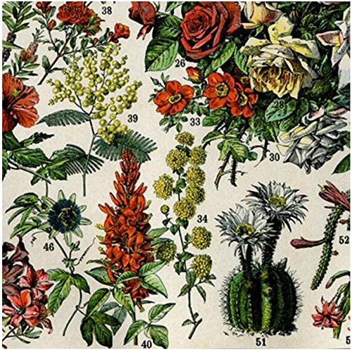 IGZAKER Flores de Plantas Impresiones de lienzos Rosas Tropicales Plantas de Interior Orquídeas Lilas Pintura de Arte de Pared - 50x75cmx2pcs （Sin Marco）