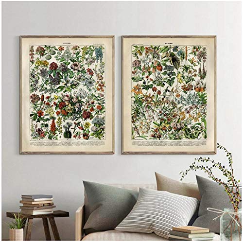 IGZAKER Flores de Plantas Impresiones de lienzos Rosas Tropicales Plantas de Interior Orquídeas Lilas Pintura de Arte de Pared - 50x75cmx2pcs （Sin Marco）